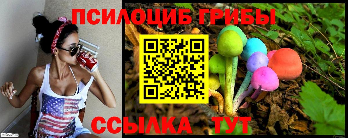 Галлюциногенные грибы Cubensis  Псилоцибиновые грибы Cubensis  Великий Устюг  Вход с VPN 
