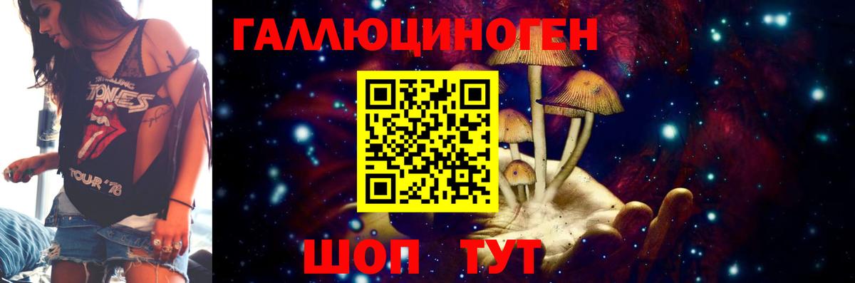 Псилоцибиновые грибы мицелий Великий Устюг